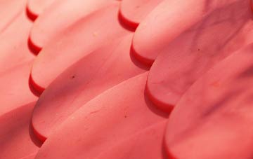 Edrom plastic roof costs