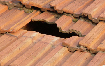 roof repair Edrom, Scottish Borders