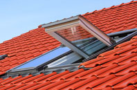 Edrom roof window